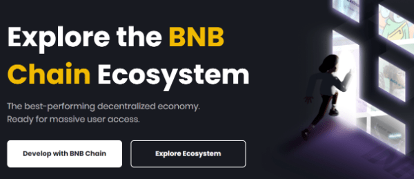 曾经盛极一时的币安智能链未来会走向衰落吗<strong></p>
<p>币安BNB</strong>?