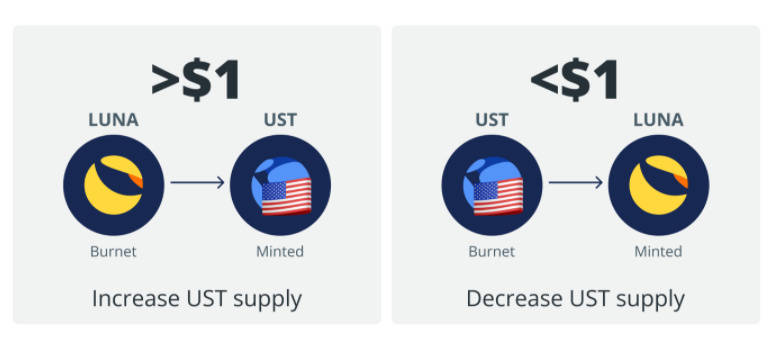 解读币安投资Terra(Lunc原名Luna)亏损16亿<strong></p>
<p>币安BNB</strong>?Terra2.0卷土重来还有机会吗?