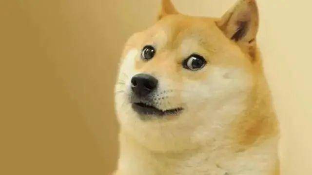 狗狗币是啥<strong></p>
<p>币天交易所</strong>？为啥马斯克喜欢它？为啥在Twitter被收购后5天翻倍？