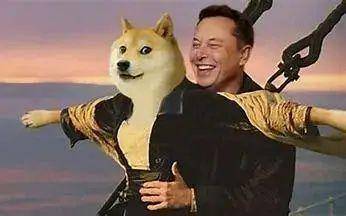 狗狗币是啥<strong></p>
<p>币天交易所</strong>？为啥马斯克喜欢它？为啥在Twitter被收购后5天翻倍？