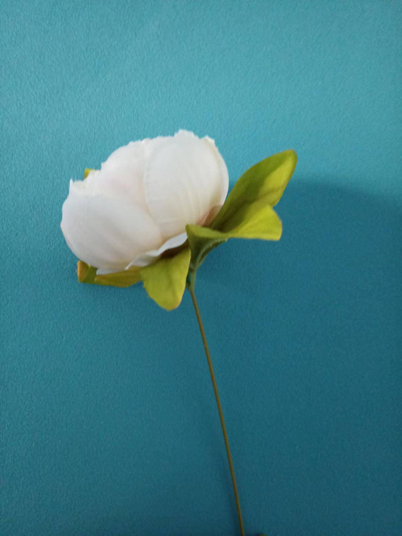 11月5号6号7号8号钱财滚滚装钱袋<strong></p>
<p>7号交易所</strong>，有福享有钱花的3大生肖