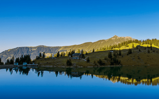 交易所中证期权手续费能返佣吗？中证期权手续费要多少？