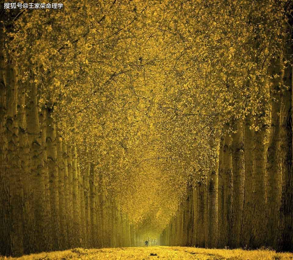 每日黄历查询 2023年1月1日 吉日吉时