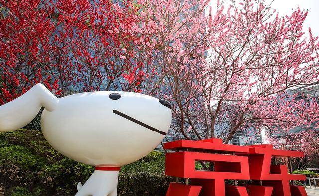 拒绝公司京东投资<strong></p>
<p>美宜佳店铺</strong>,我们便利店之王出现了,门店3万家,年入500亿