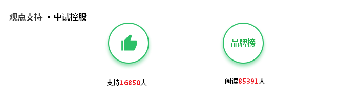 ZSLB-601A电量记录分析仪