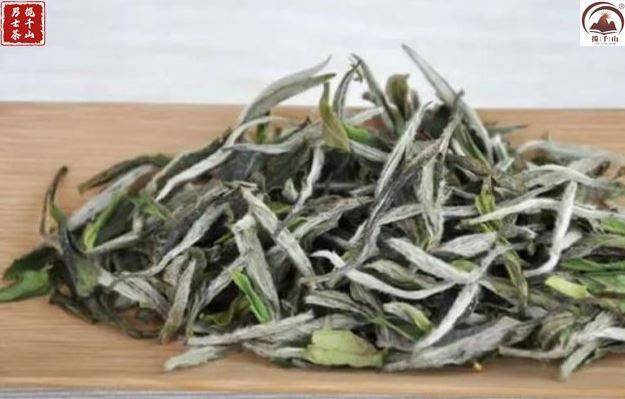 不同种类白茶的区别