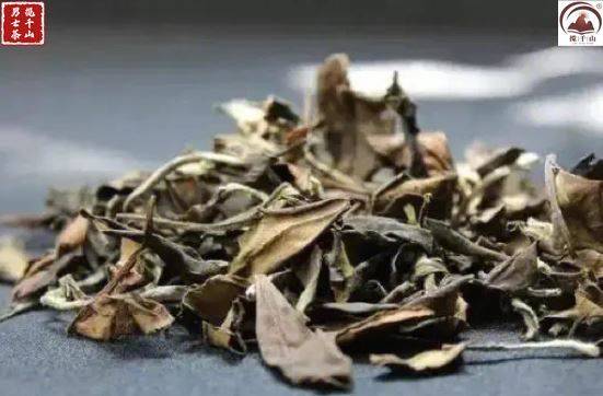 不同种类白茶的区别