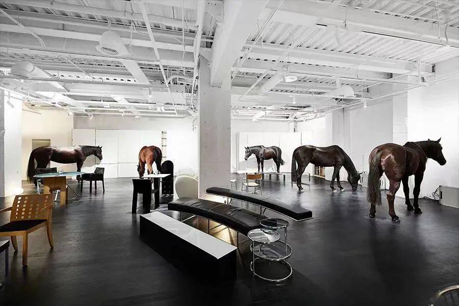 全网被嘲的“沪币”<strong></p>
<p>购币网</strong>,到底有多贵?