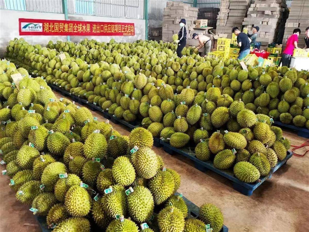 千里运煤一网感知 全球好物直采直购 省级国有贸易平台“链”全球