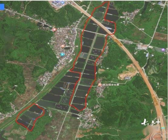 增长超50%<strong></p>
<p>云交易</strong>!佛冈龙山集体经济搭上“云”交易快车