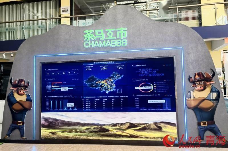 数字化交易 让青海牛羊“云飞”全国各地