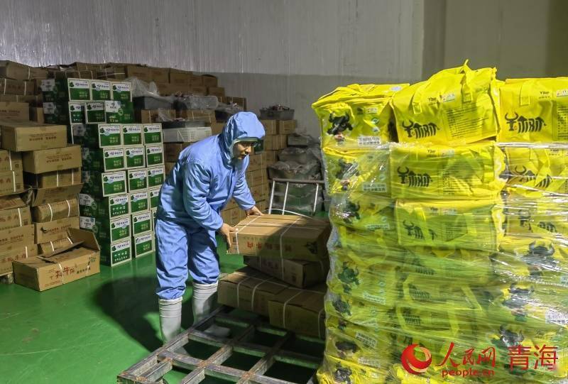 数字化交易 让青海牛羊“云飞”全国各地