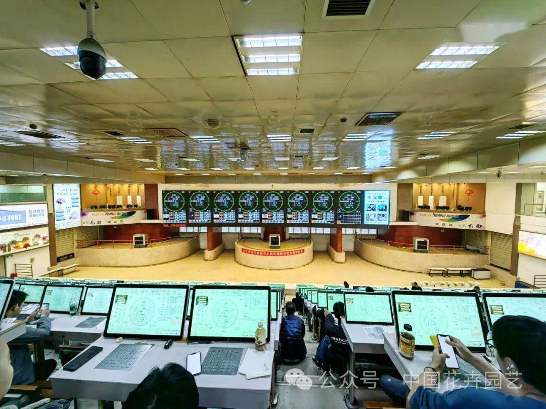 斗南花卉产业园 向世界第一花卉交易市场迈进 | “云花产业”专题