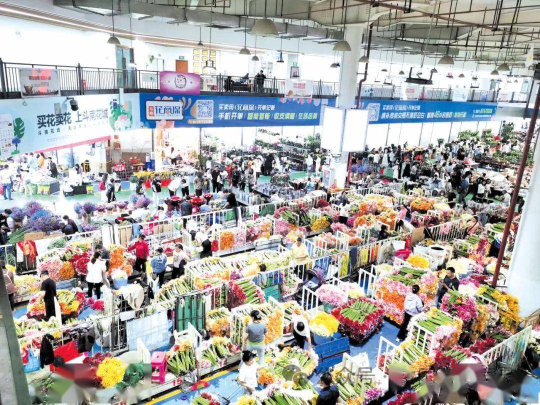 斗南花卉产业园 向世界第一花卉交易市场迈进 | “云花产业”专题