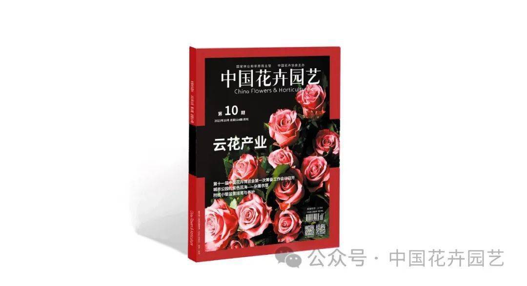 斗南花卉产业园 向世界第一花卉交易市场迈进 | “云花产业”专题