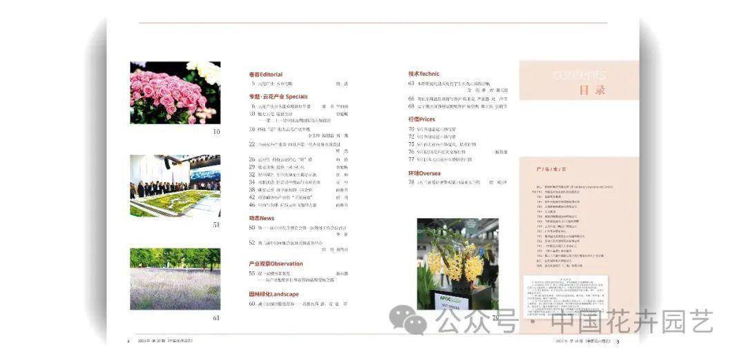 斗南花卉产业园 向世界第一花卉交易市场迈进 | “云花产业”专题