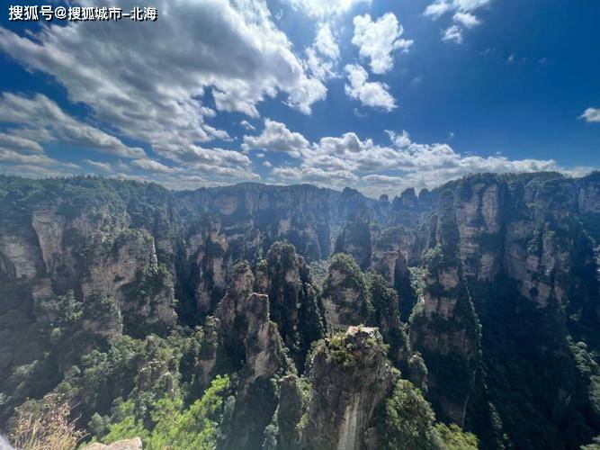 去一次张家界3日游多少钱人民币?省钱<strong></p>
<p>虚拟猫币多少钱一个</strong>!张家界旅游团多少钱一个人