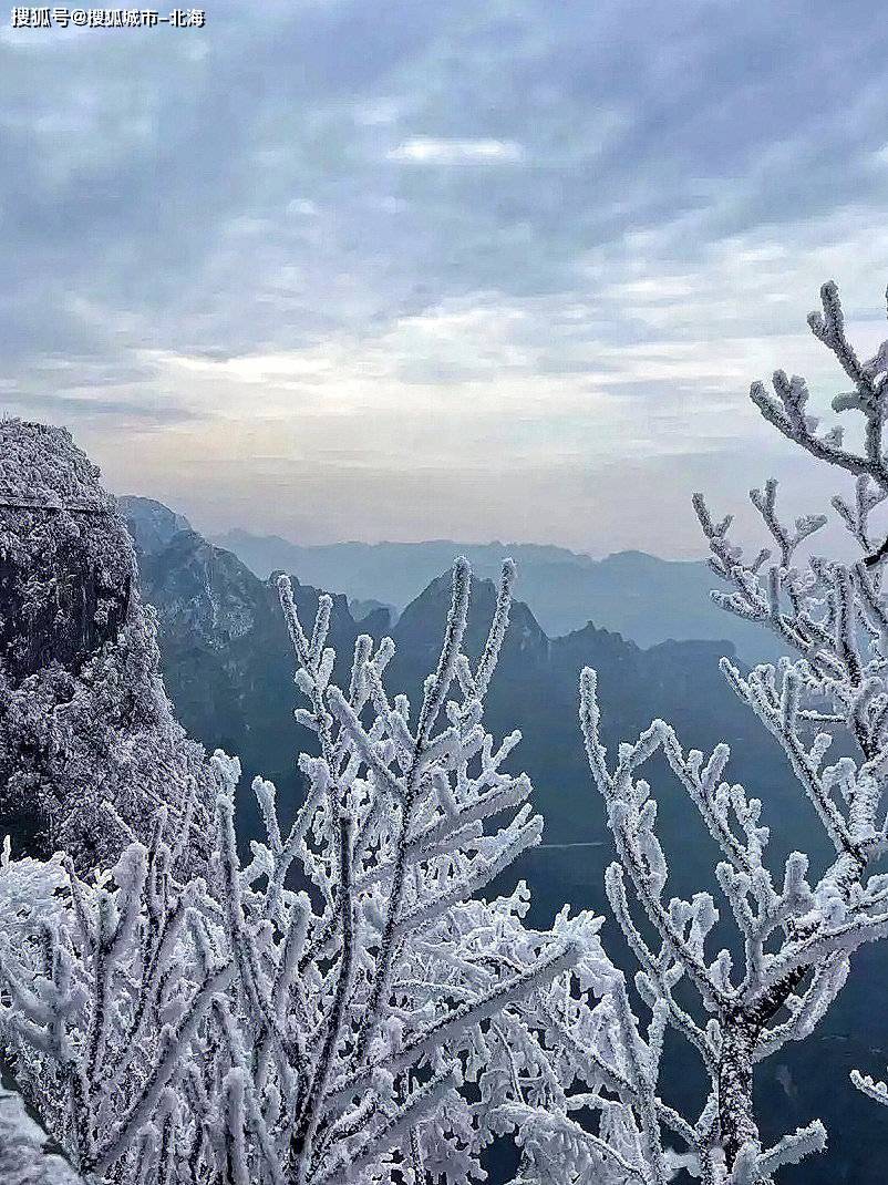 去一次张家界3日游多少钱人民币?省钱<strong></p>
<p>虚拟猫币多少钱一个</strong>!张家界旅游团多少钱一个人