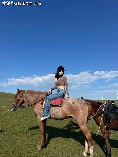 内蒙旅游3日游多少钱一个人<strong></p>
<p>虚拟猫币多少钱一个</strong>？内蒙旅游3天大概多少人民币