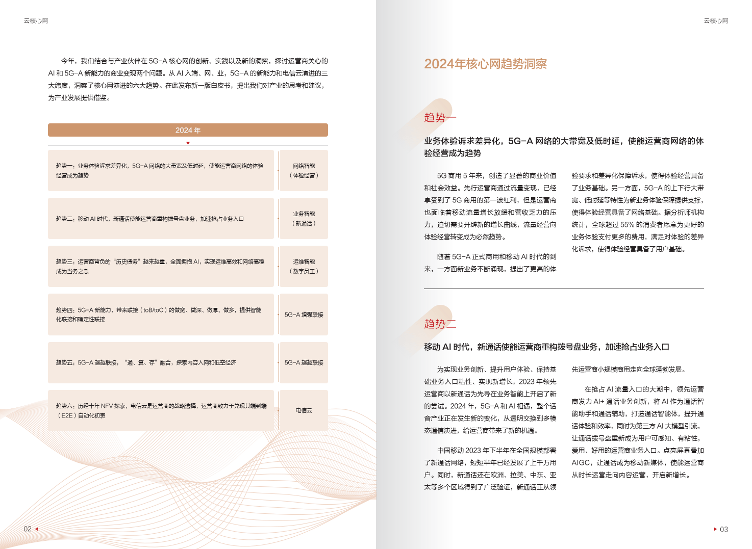 迈向智能世界白皮书2024-云核心网-华为