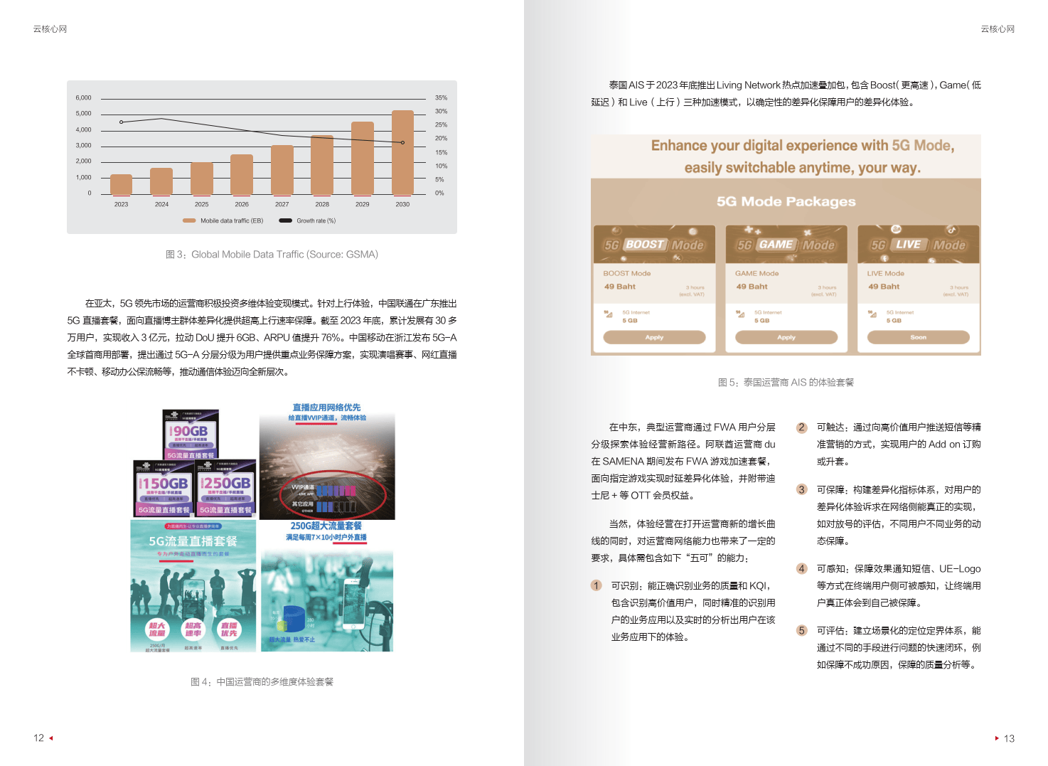 迈向智能世界白皮书2024-云核心网-华为