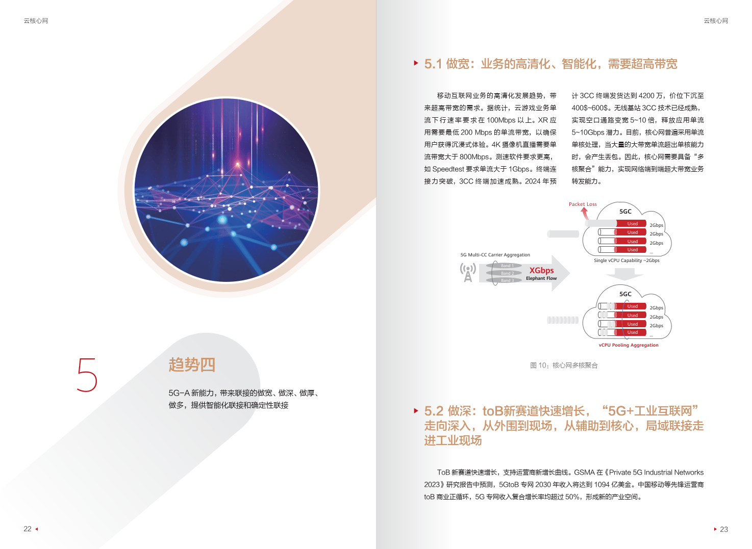 迈向智能世界白皮书2024-云核心网-华为