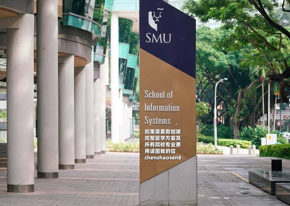 去新加坡留学需要多少钱<strong></p>
<p>v币多少钱</strong>,去新加坡留学一年要多少钱人民币