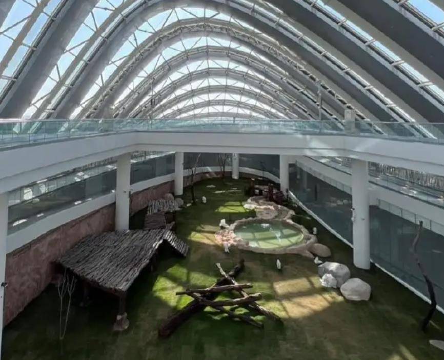 64只大熊猫海外打工<strong></p>
<p>2018年币圈千倍币</strong>,每年赚回34亿人民币,商业价值20年翻500倍