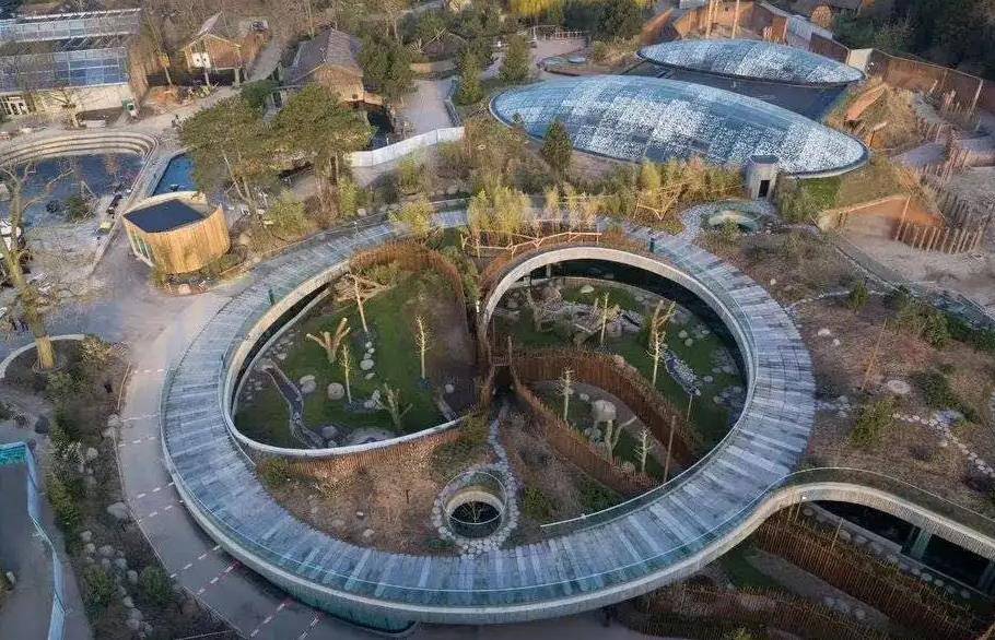 64只大熊猫海外打工<strong></p>
<p>2018年币圈千倍币</strong>,每年赚回34亿人民币,商业价值20年翻500倍