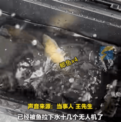 男子在家操控无人机钓鱼<strong></p>
<p>币币账户</strong>,当天就钓上十几条,当事人:不要轻易尝试,已被鱼拉下水十几个无人机