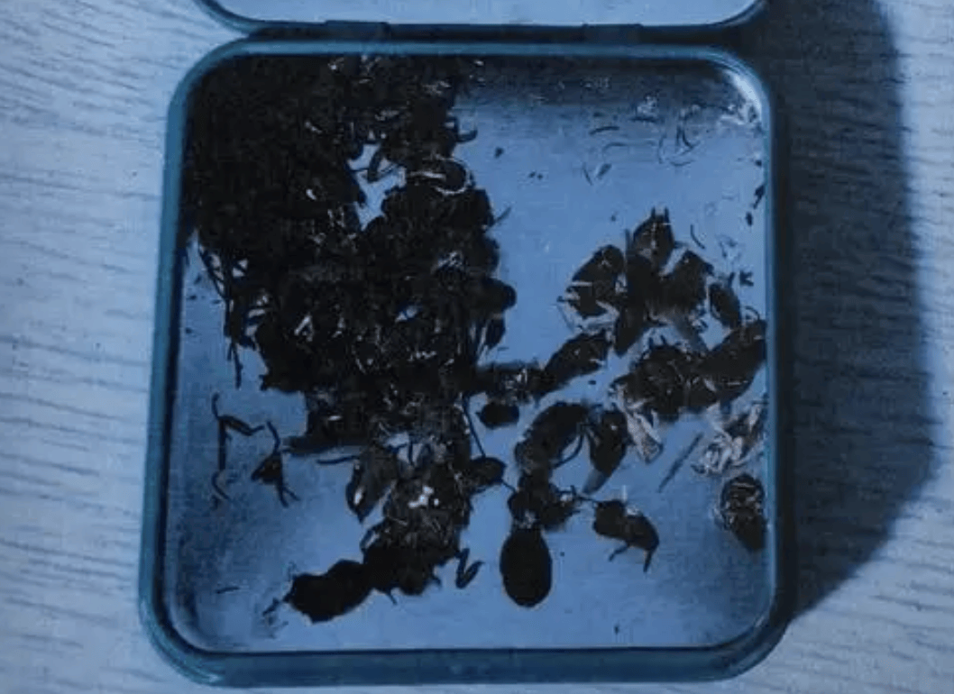 打两碗蘸料<strong></p>
<p>币币账户</strong>，吃一碗毁一碗！女子投虫敲诈火锅店更多细节曝光