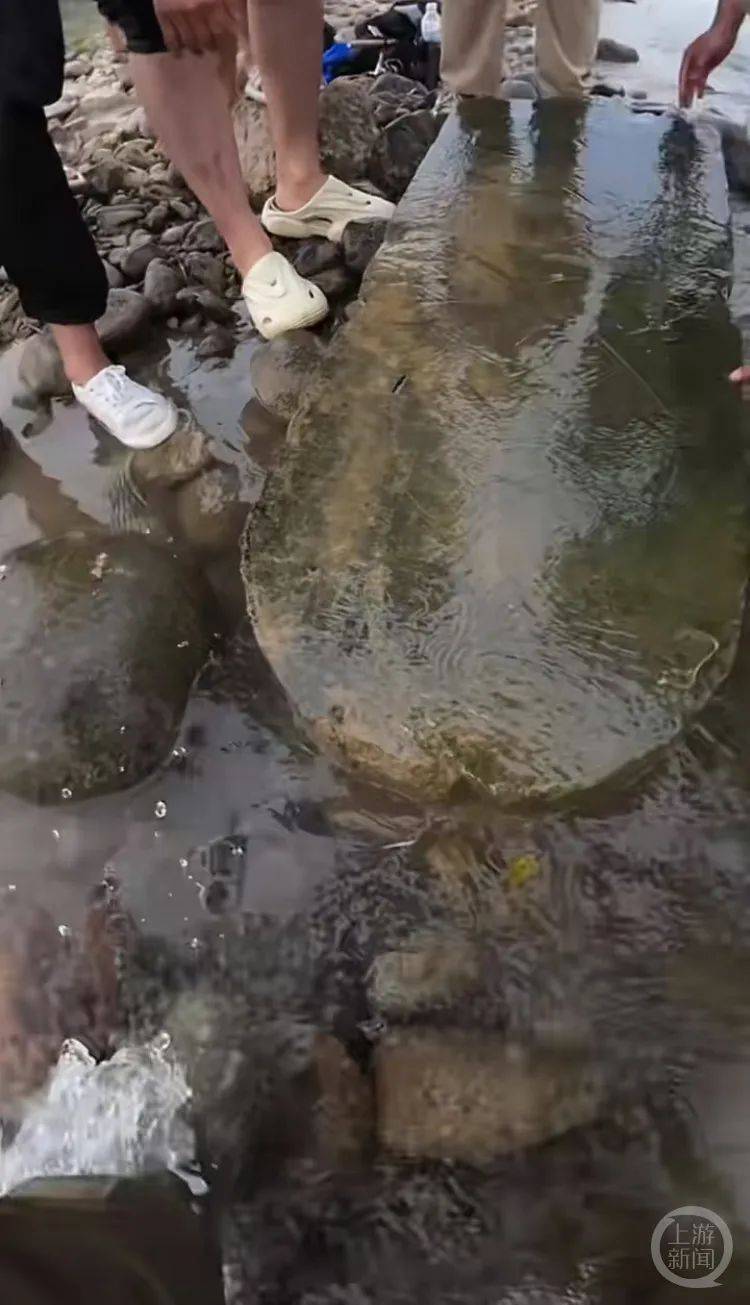 “当时就无心钓鱼了<strong></p>
<p>炒币自动交易软件</strong>!”河南钓友在洛阳附近“钓”到古碑?文保部门回应