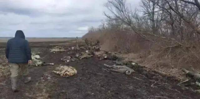 乌克兰军队又又又崩溃<strong></p>
<p>moc币20个币</strong>,俄军即将逼近扎波罗热州界?