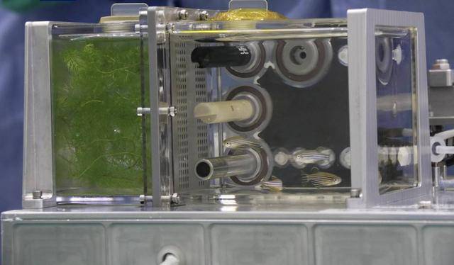 安全回家<strong></p>
<p>债券回购交易案例</strong>!神十八乘组“太空出差”半年都干了些啥?