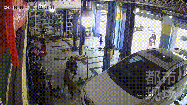 街头横冲直闯<strong></p>
<p>债券回购交易案例</strong>,抱娃女子被撞伤,警方:已被特警击毙