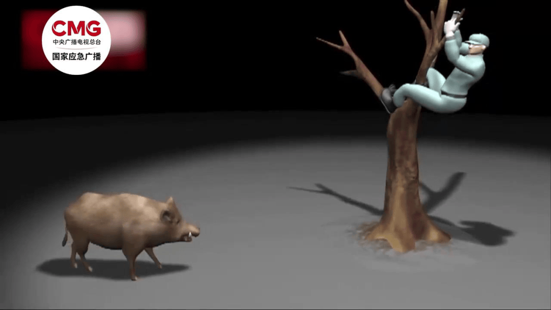 街头横冲直闯<strong></p>
<p>债券回购交易案例</strong>,抱娃女子被撞伤,警方:已被特警击毙