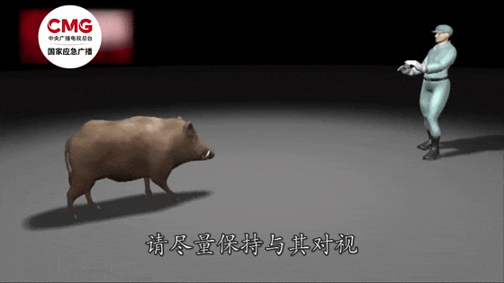 街头横冲直闯<strong></p>
<p>债券回购交易案例</strong>,抱娃女子被撞伤,警方:已被特警击毙