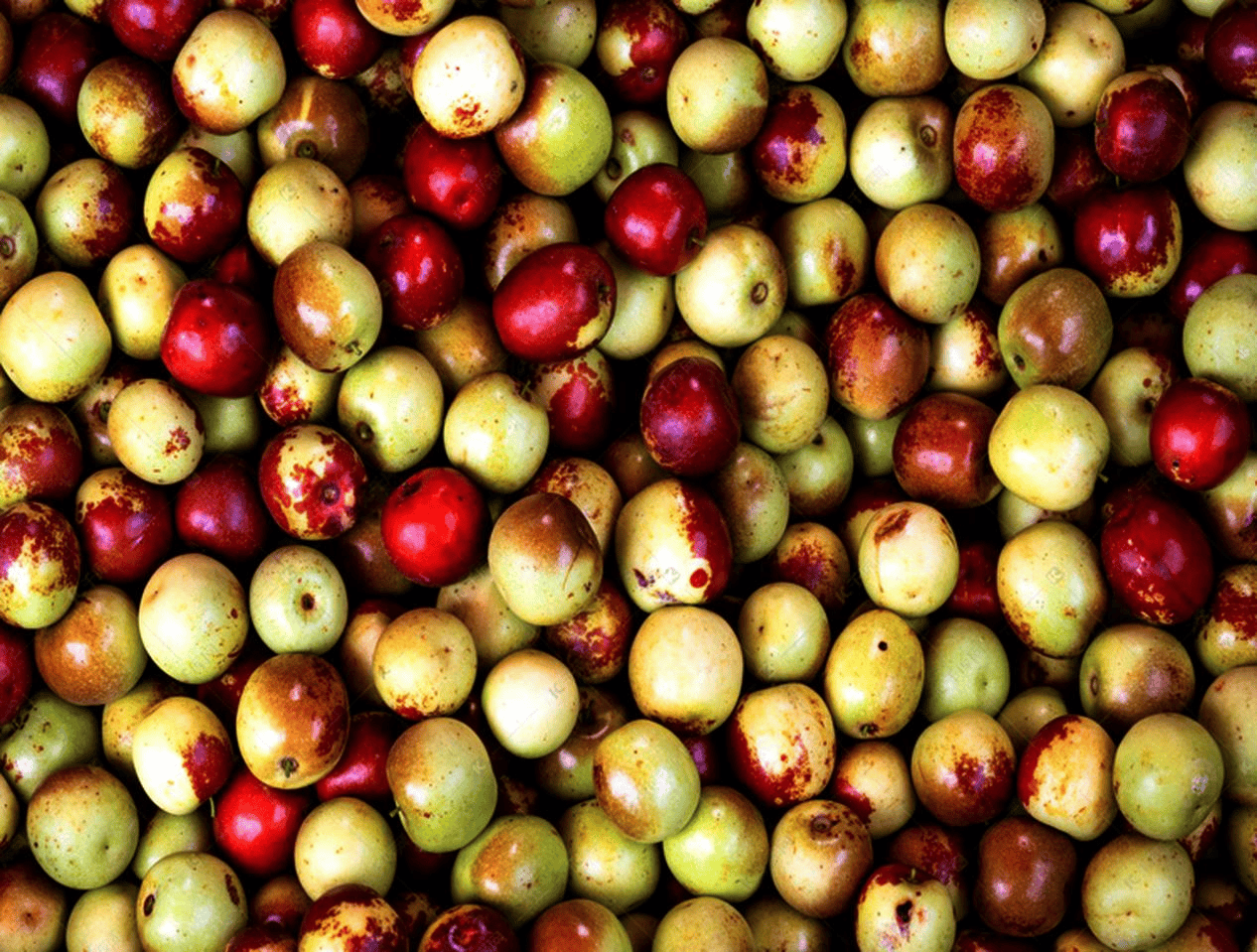 “含糖量”极高<strong></p>
<p>eth币今日价格</strong>!解锁“北方水果公园”山西万荣的甜蜜