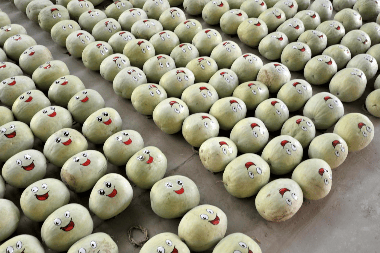 “含糖量”极高<strong></p>
<p>eth币今日价格</strong>!解锁“北方水果公园”山西万荣的甜蜜