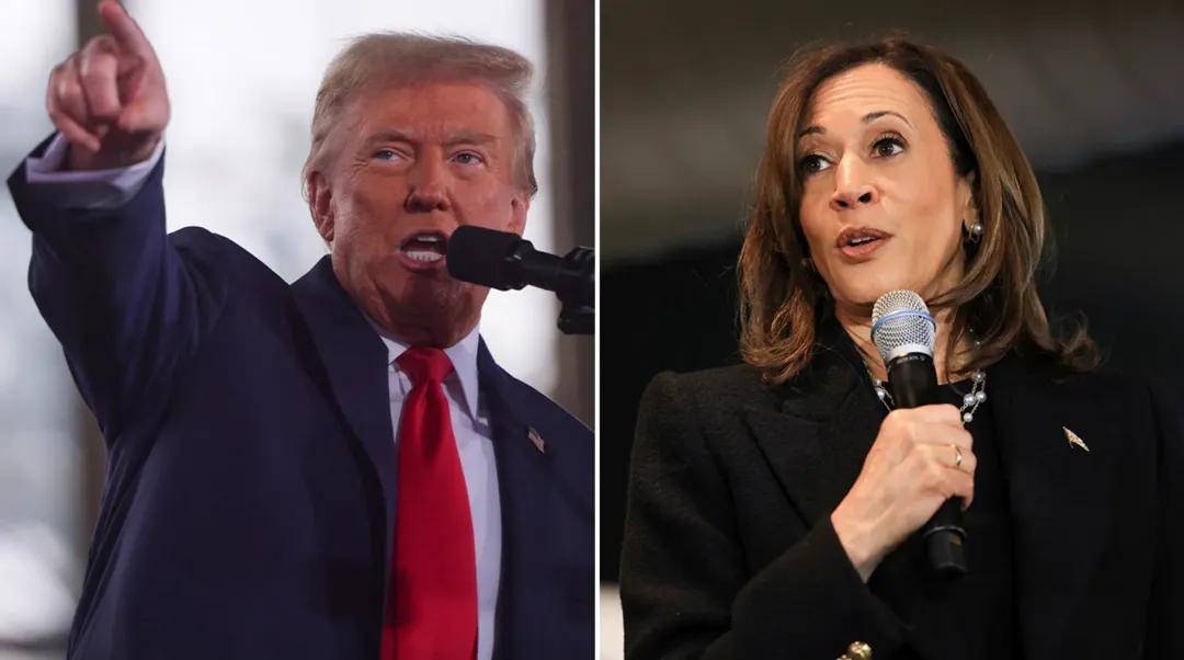 选前不被看好的特朗普<strong></p>
<p>利率是货币的价格</strong>，何以取得历史性胜利？