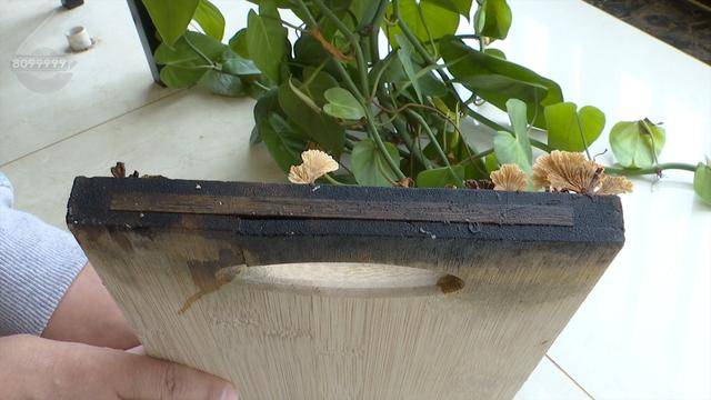 “可以蒸蛋”！昆明一女子家中搓衣板上长菌<strong></p>
<p>利率是货币的价格</strong>，品种竟是……