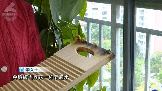 “可以蒸蛋”！昆明一女子家中搓衣板上长菌<strong></p>
<p>利率是货币的价格</strong>，品种竟是……