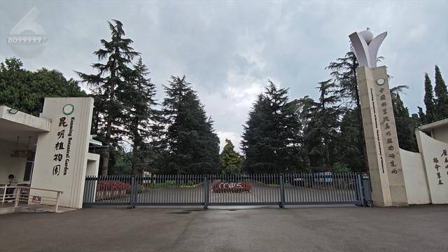 “可以蒸蛋”！昆明一女子家中搓衣板上长菌<strong></p>
<p>利率是货币的价格</strong>，品种竟是……