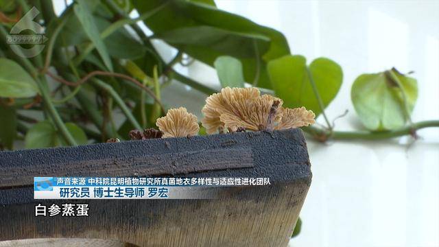 “可以蒸蛋”！昆明一女子家中搓衣板上长菌<strong></p>
<p>利率是货币的价格</strong>，品种竟是……