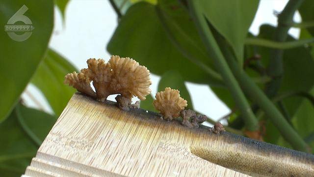 “可以蒸蛋”！昆明一女子家中搓衣板上长菌<strong></p>
<p>利率是货币的价格</strong>，品种竟是……