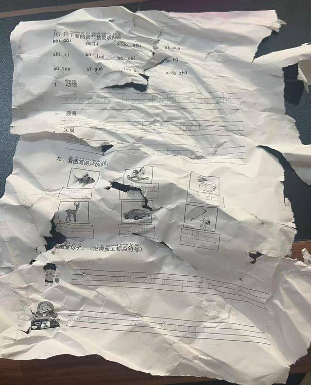 晚上回家发现语文作业被扫地机器人“吃”了<strong></p>
<p>利率是货币的价格</strong>,杭州小学生陷入纠结