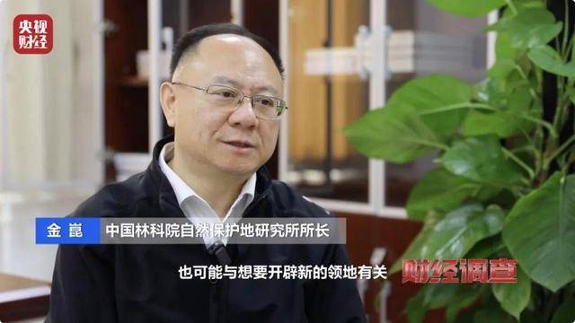 多地频现野猪伤人致害<strong></p>
<p>关于etf套利交易</strong>！为什么不能放开猎捕？记者调查