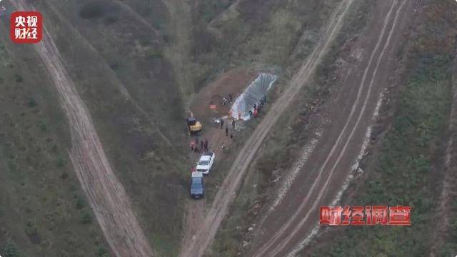 多地频现野猪伤人致害<strong></p>
<p>关于etf套利交易</strong>！为什么不能放开猎捕？记者调查