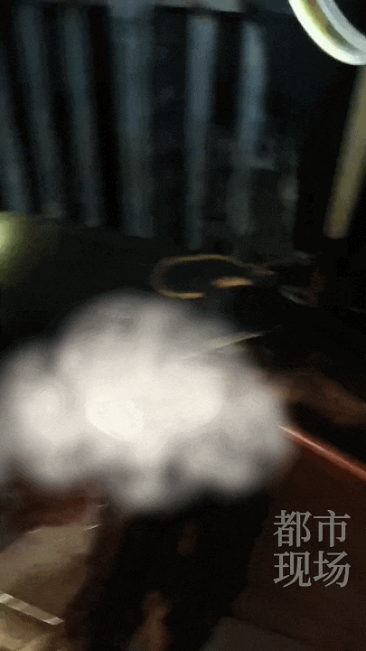 江西一高校惊现野猪<strong></p>
<p>可以交易公信宝的网站</strong>，最后在食堂被成功抓获