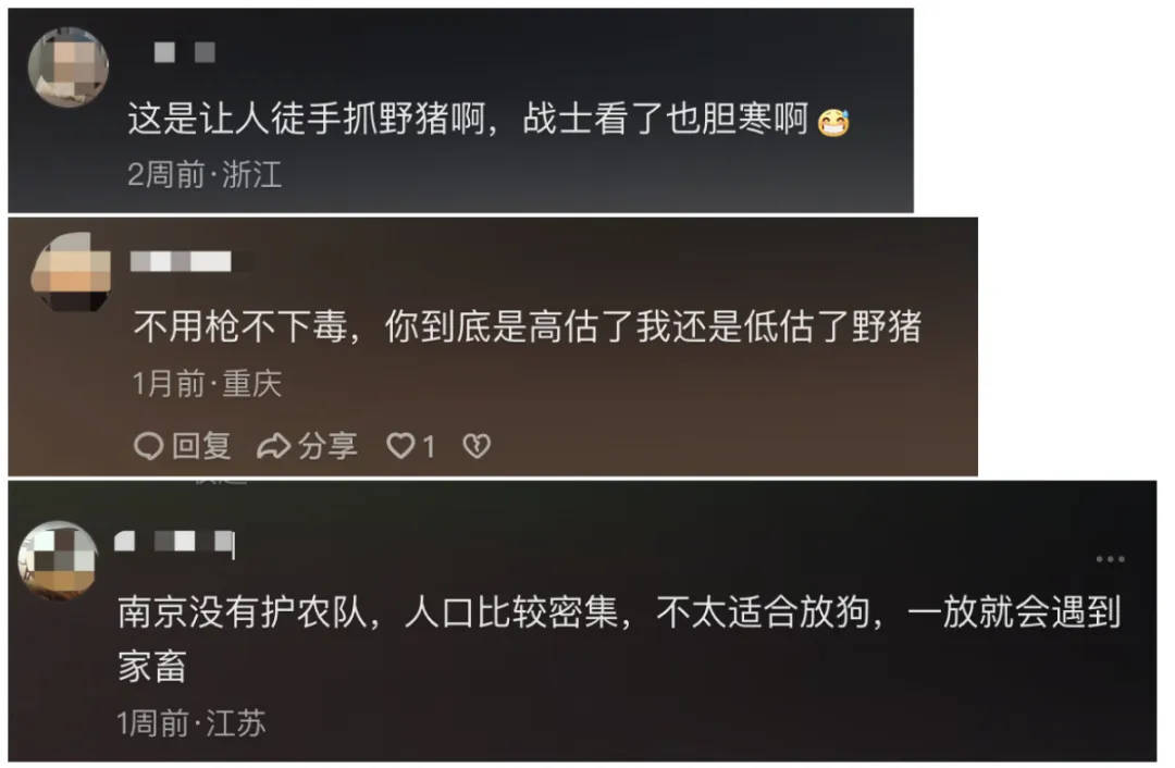 91.5万元打300头野猪<strong></p>
<p>可以交易公信宝的网站</strong>,南京一企业中标后弃标,知情人:人手不够